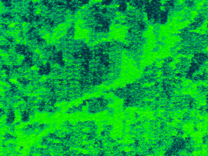 lidar drone fôret